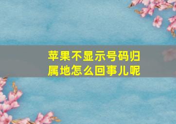 苹果不显示号码归属地怎么回事儿呢