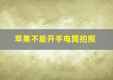 苹果不能开手电筒拍照