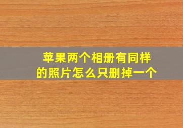 苹果两个相册有同样的照片怎么只删掉一个