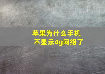 苹果为什么手机不显示4g网络了