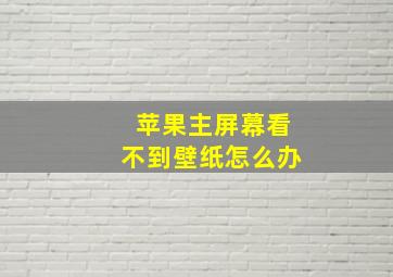 苹果主屏幕看不到壁纸怎么办