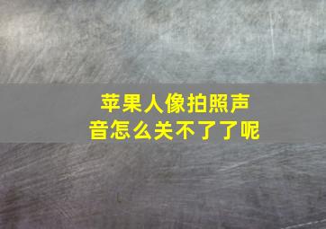 苹果人像拍照声音怎么关不了了呢