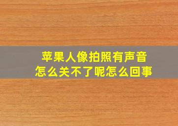 苹果人像拍照有声音怎么关不了呢怎么回事