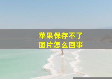 苹果保存不了图片怎么回事