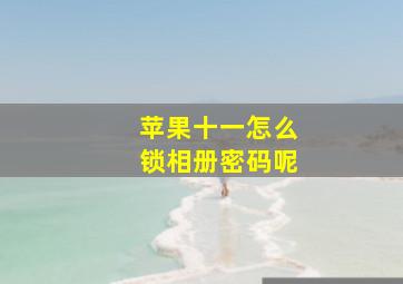 苹果十一怎么锁相册密码呢