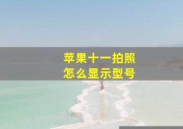 苹果十一拍照怎么显示型号