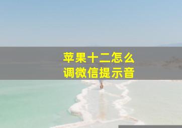 苹果十二怎么调微信提示音