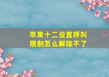 苹果十二设置呼叫限制怎么解除不了