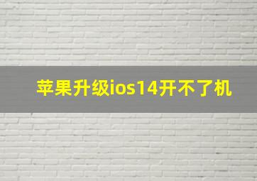 苹果升级ios14开不了机