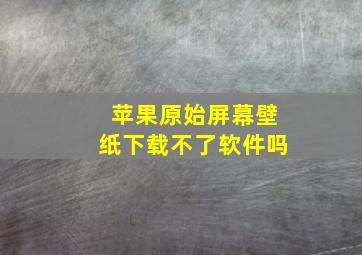 苹果原始屏幕壁纸下载不了软件吗