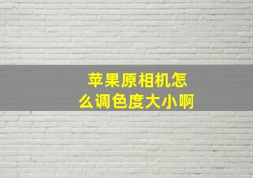 苹果原相机怎么调色度大小啊