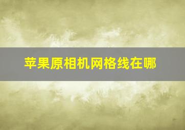 苹果原相机网格线在哪