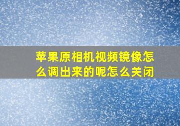 苹果原相机视频镜像怎么调出来的呢怎么关闭