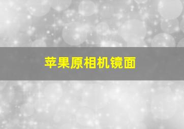 苹果原相机镜面