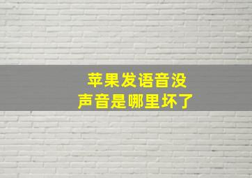 苹果发语音没声音是哪里坏了