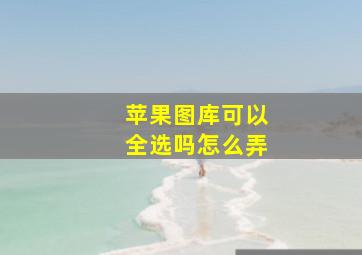 苹果图库可以全选吗怎么弄