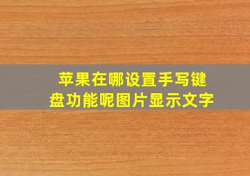 苹果在哪设置手写键盘功能呢图片显示文字