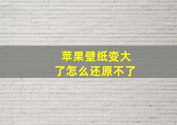 苹果壁纸变大了怎么还原不了