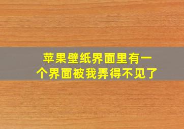 苹果壁纸界面里有一个界面被我弄得不见了