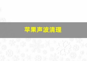 苹果声波清理