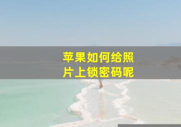 苹果如何给照片上锁密码呢