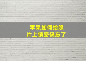 苹果如何给照片上锁密码忘了