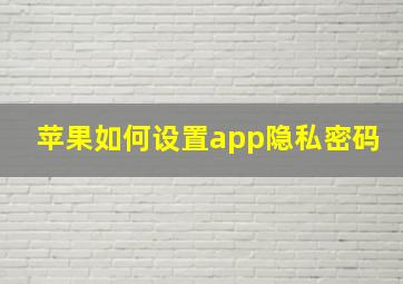 苹果如何设置app隐私密码