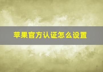 苹果官方认证怎么设置