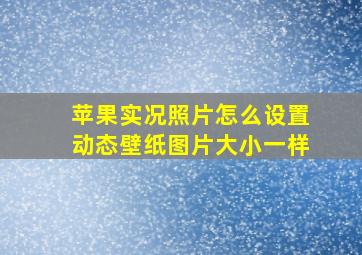 苹果实况照片怎么设置动态壁纸图片大小一样