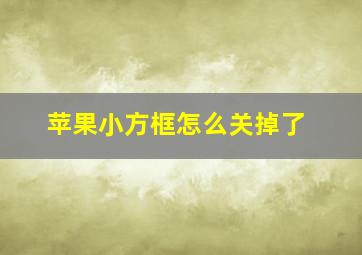 苹果小方框怎么关掉了