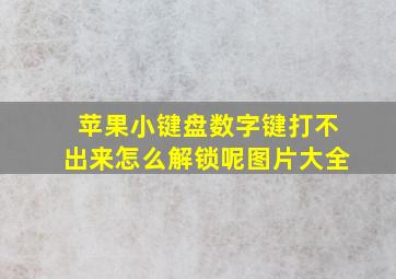 苹果小键盘数字键打不出来怎么解锁呢图片大全