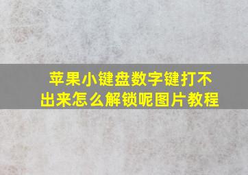 苹果小键盘数字键打不出来怎么解锁呢图片教程