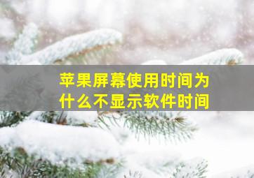 苹果屏幕使用时间为什么不显示软件时间