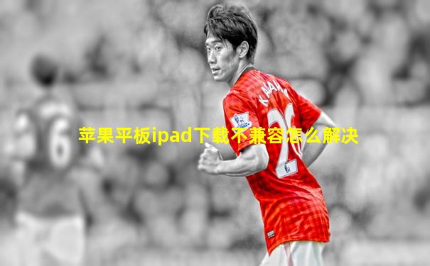 苹果平板ipad下载不兼容怎么解决