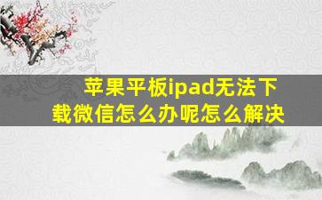 苹果平板ipad无法下载微信怎么办呢怎么解决