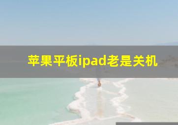 苹果平板ipad老是关机