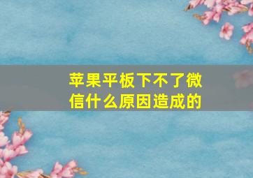 苹果平板下不了微信什么原因造成的