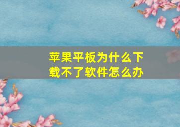 苹果平板为什么下载不了软件怎么办