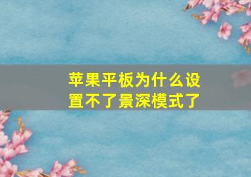 苹果平板为什么设置不了景深模式了