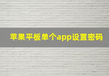 苹果平板单个app设置密码