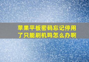 苹果平板密码忘记停用了只能刷机吗怎么办啊