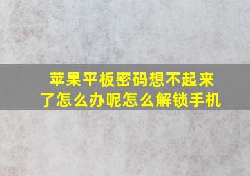 苹果平板密码想不起来了怎么办呢怎么解锁手机