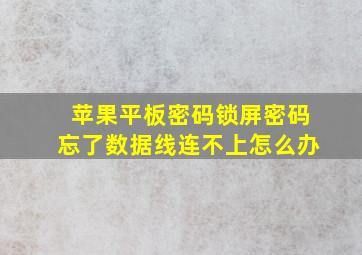 苹果平板密码锁屏密码忘了数据线连不上怎么办