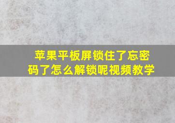 苹果平板屏锁住了忘密码了怎么解锁呢视频教学