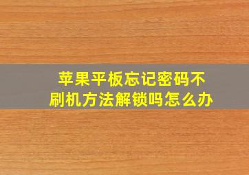 苹果平板忘记密码不刷机方法解锁吗怎么办