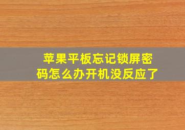 苹果平板忘记锁屏密码怎么办开机没反应了