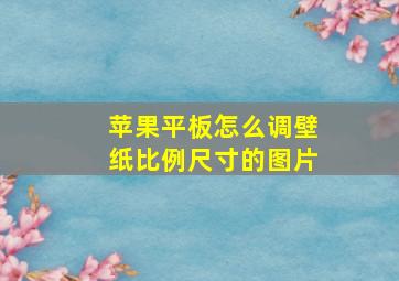 苹果平板怎么调壁纸比例尺寸的图片