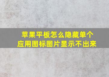 苹果平板怎么隐藏单个应用图标图片显示不出来