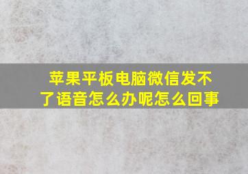 苹果平板电脑微信发不了语音怎么办呢怎么回事