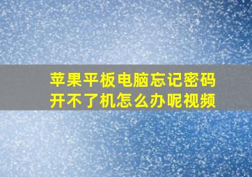 苹果平板电脑忘记密码开不了机怎么办呢视频